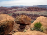 Moab-White Rim 4-08 012